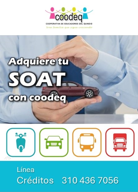 img soat 02